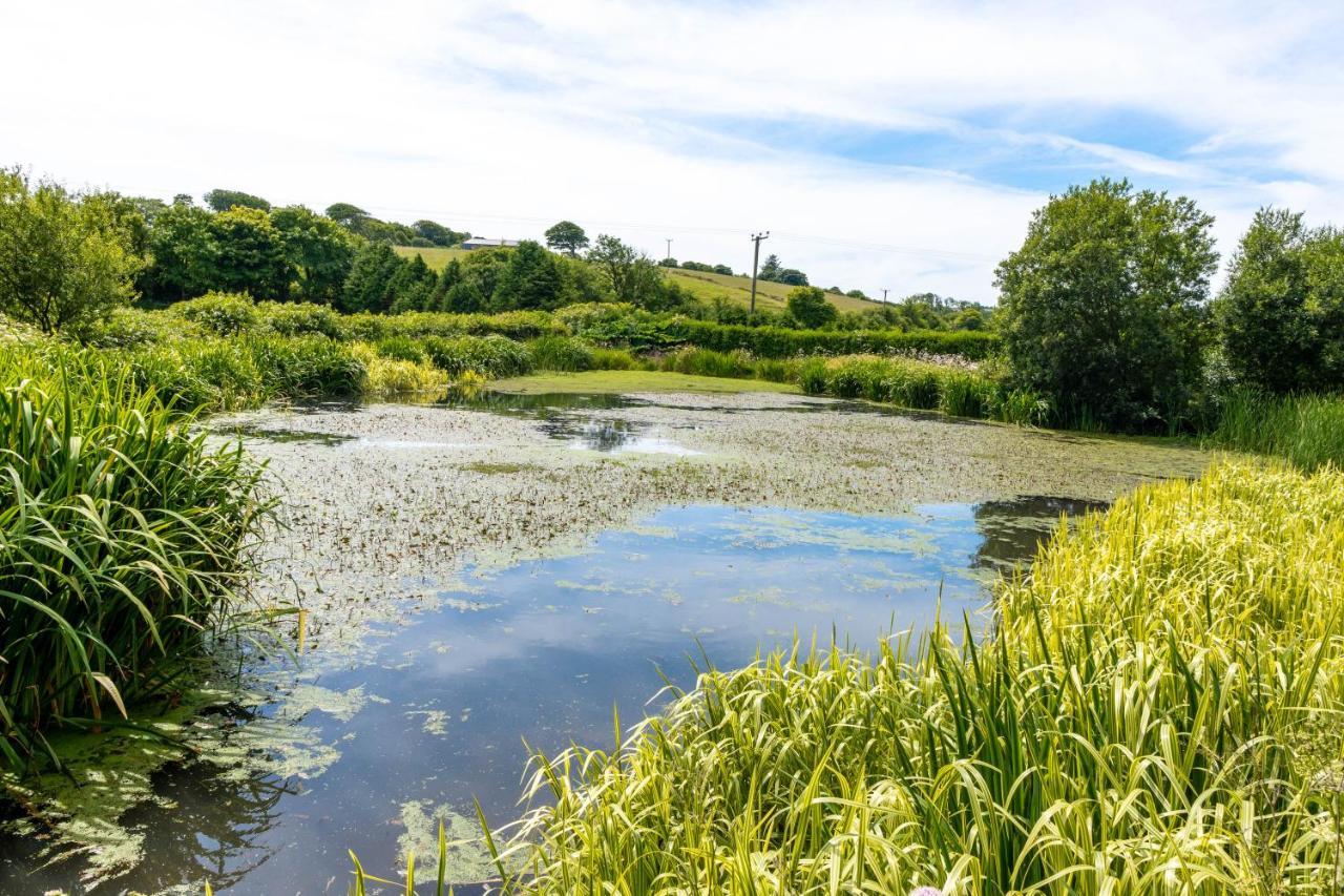 Ta Mill Holiday Cottages & Lodges -Ta Mill House Launceston Exteriér fotografie