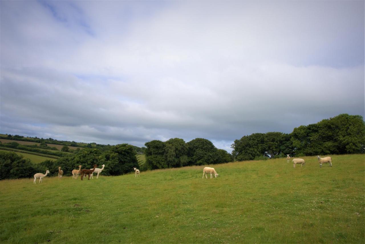 Ta Mill Holiday Cottages & Lodges -Ta Mill House Launceston Exteriér fotografie